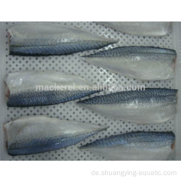 Makrelefilets Fisch mit EU -Standard gefroren